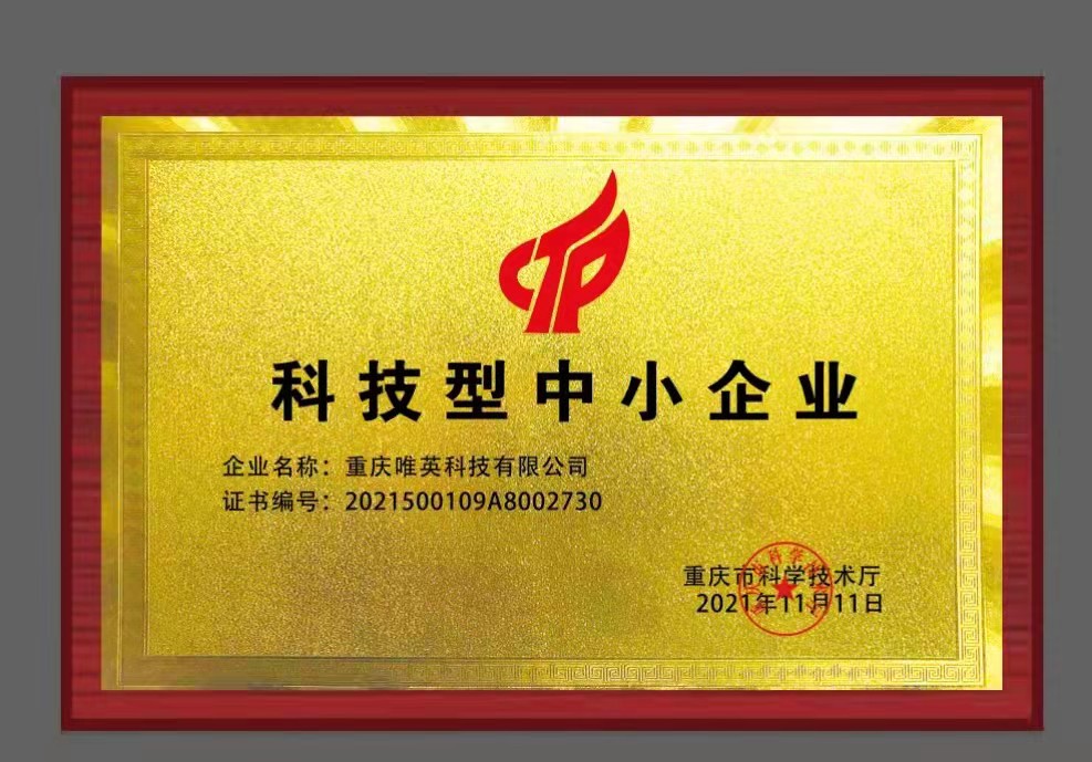 科技型中小企業(yè)